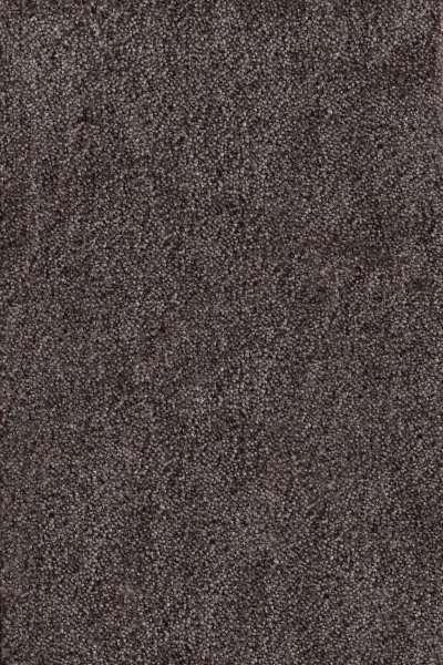 Ковровое покрытие AW Messalina 44 - (4м) в Нижнем Тагиле