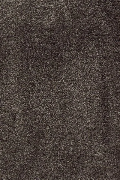 Ковровое покрытие AW Fedone 44 - (5м) в Нижнем Тагиле