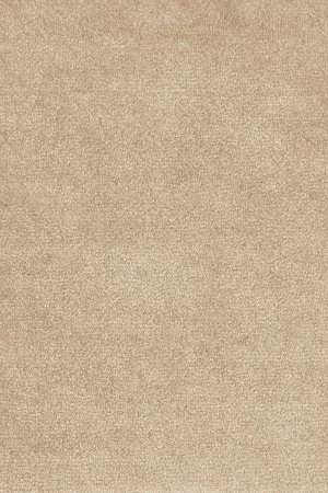 Ковровое покрытие AW Omphale 37 - (5м) в Нижнем Тагиле