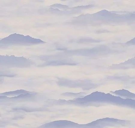 Обои Loymina Clair CLR4, 006 в Нижнем Тагиле