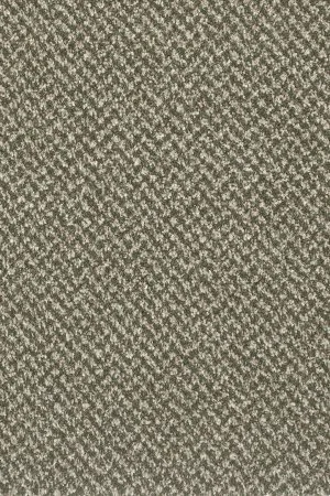 Ковровое покрытие AW Stainaway Tweed 24 - (4м) в Нижнем Тагиле