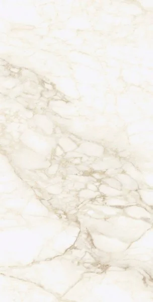 Керамогранит Coliseum Микеланджело Ворм 60х120 (Натуральный и Реттифицированный) в Нижнем Тагиле