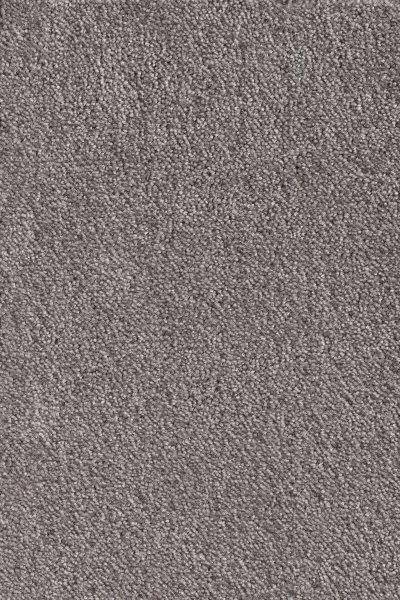 Ковровое покрытие AW Messalina 49 - (5м) в Нижнем Тагиле