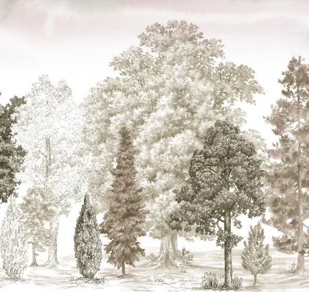 Обои Loymina Пейзаж vol. 2 ART14 012 в Нижнем Тагиле