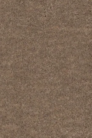 Ковровое покрытие AW Euphoria 36 - (5м) в Нижнем Тагиле