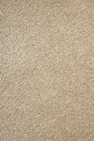 Ковровое покрытие AW Euphoria 33 - (4м) в Нижнем Тагиле