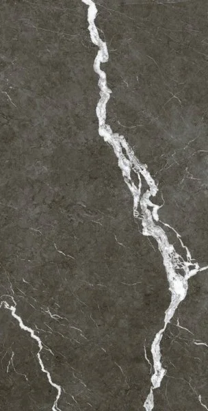 Керамогранит Coliseum Микеланджело Дарк 60х120 (Натуральный и Реттифицированный) в Нижнем Тагиле