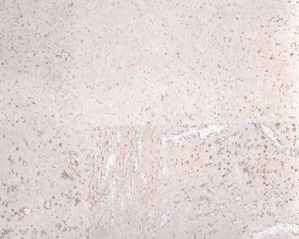 Настенное пробковое покрытие CorkArt PW 386 WS в Нижнем Тагиле