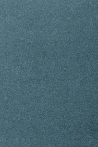 Ковровое покрытие AW Oinone 74 - (5м) в Нижнем Тагиле