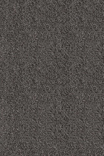 Ковровое покрытие AW Messalina 99 - (5м) в Нижнем Тагиле