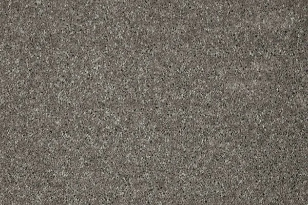 Ковровое покрытие AW Gala 94 - (5м) в Нижнем Тагиле