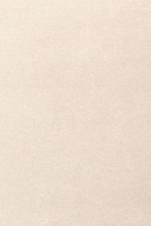 Ковровое покрытие AW Oinone 03 - (5м) в Нижнем Тагиле