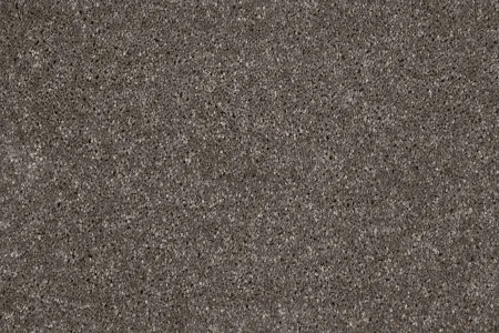 Ковровое покрытие AW Gala 49 - (5м) в Нижнем Тагиле