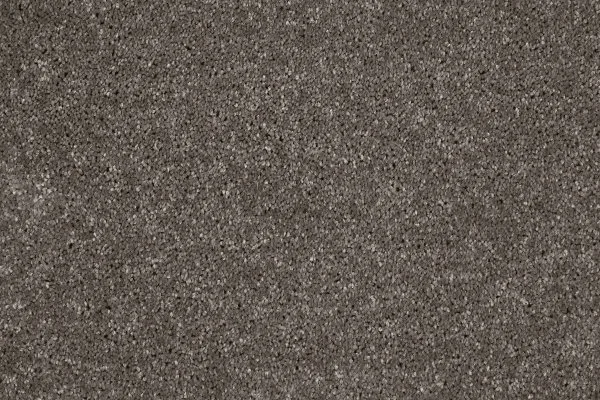 Ковровое покрытие AW Gala 49 - (4м) в Нижнем Тагиле