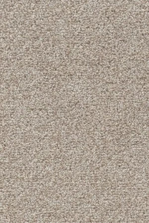 Ковровое покрытие AW Stainguard Harvest 04 - (4м) в Нижнем Тагиле