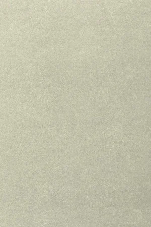 Ковровое покрытие AW Oinone 02 - (4м) в Нижнем Тагиле