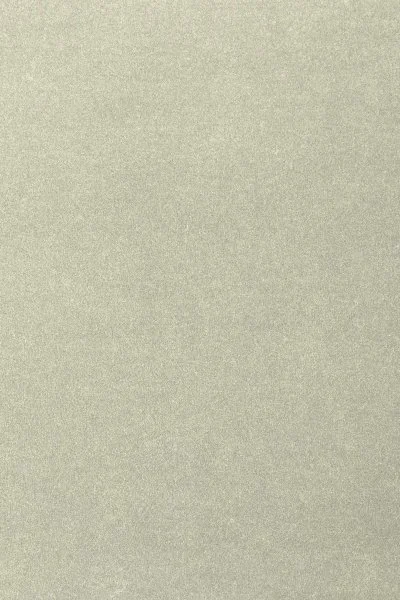 Ковровое покрытие AW Oinone 02 - (4м) в Нижнем Тагиле