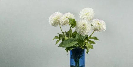 Обои Loymina Shade vol.2 SDR5, 001 в Нижнем Тагиле