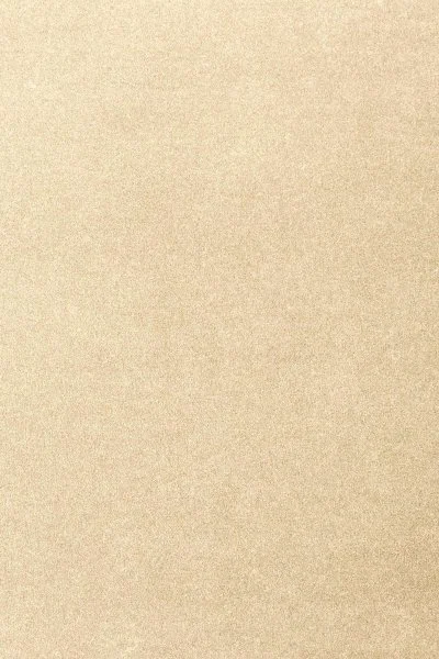 Ковровое покрытие AW Oinone 33 - (4м) в Нижнем Тагиле