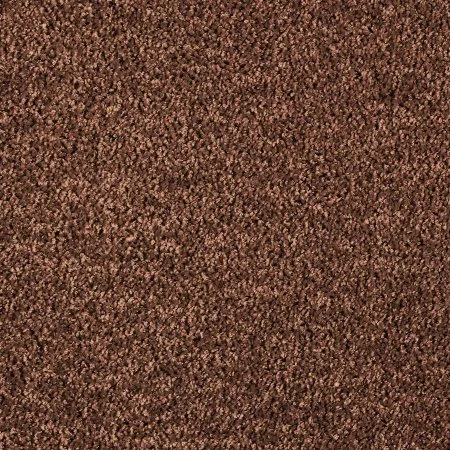 Ковровое покрытие AW Kiama 48 - (5м) в Нижнем Тагиле