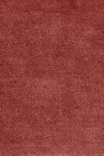 Ковровое покрытие AW Omphale 10 - (5м) в Нижнем Тагиле