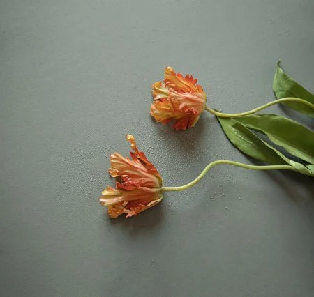 Обои Loymina Russian Classic Ru10, 006 в Нижнем Тагиле