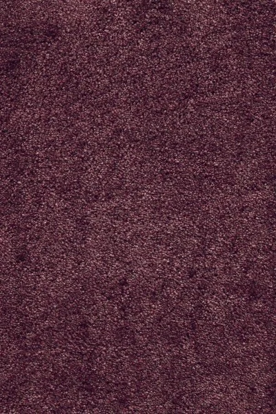 Ковровое покрытие AW Fedone 19 - (5м) в Нижнем Тагиле