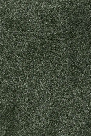 Ковровое покрытие AW Fedone 24 - (5м) в Нижнем Тагиле