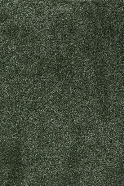 Ковровое покрытие AW Fedone 24 - (5м) в Нижнем Тагиле