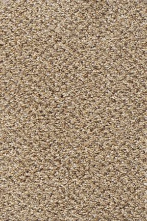Ковровое покрытие AW Stainaway Tweed 50 - (4м) в Нижнем Тагиле
