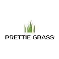 Искусственная трава Prettie Grass купить в Нижнем Тагиле по выгодной цене Искусственная трава Prettie Grass в Нижнем Тагиле