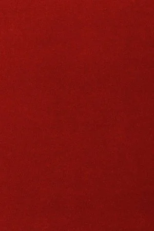 Ковровое покрытие AW Oinone 10 - (5м) в Нижнем Тагиле