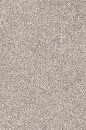 Ковровое покрытие AW Messalina 37 - (5м) в Нижнем Тагиле