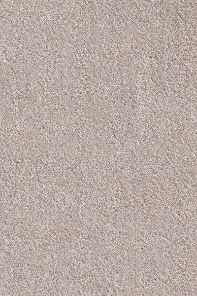 Ковровое покрытие AW Messalina 37 - (4м) в Нижнем Тагиле