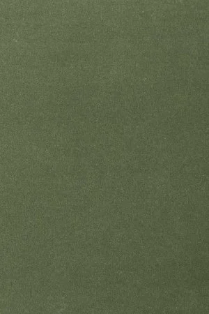 Ковровое покрытие AW Oinone 24 - (4м) в Нижнем Тагиле