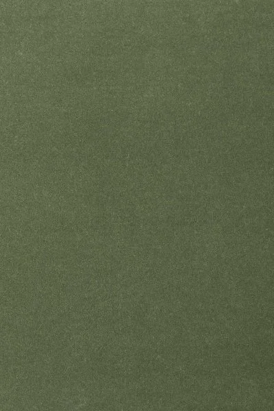 Ковровое покрытие AW Oinone 24 - (4м) в Нижнем Тагиле