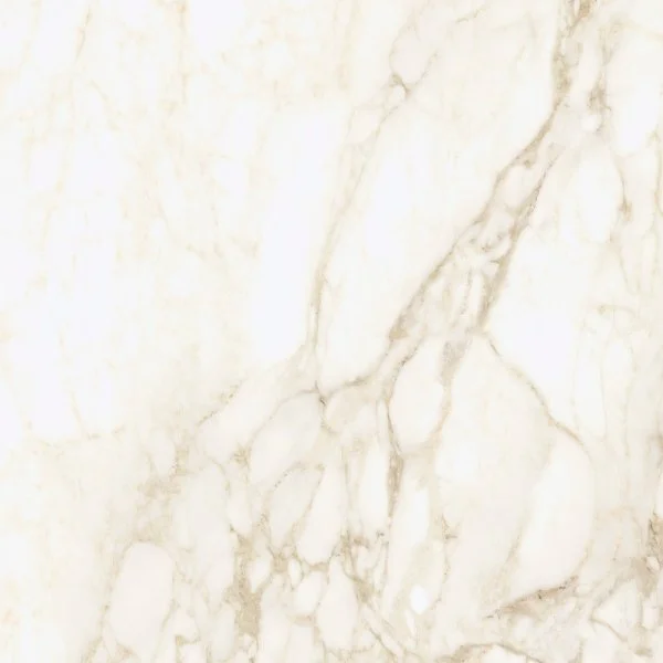 Керамогранит Coliseum Микеланджело Ворм 60х60 (Натуральный и Реттифицированный) в Нижнем Тагиле