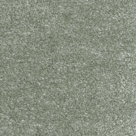 Ковровое покрытие AW Euphoria 28 - (4м) в Нижнем Тагиле