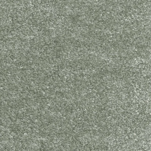 Ковровое покрытие AW Euphoria 28 - (5м) в Нижнем Тагиле