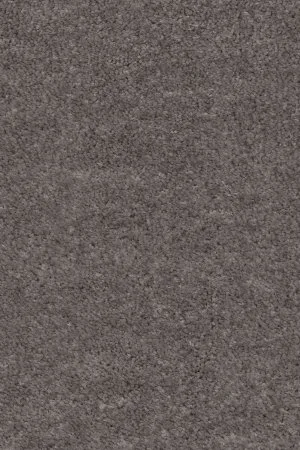 Ковровое покрытие AW Euphoria 45 - (5м) в Нижнем Тагиле