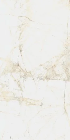 Керамогранит Coliseum Канова Уайт 60х120 (Натуральный и Реттифицированный) в Нижнем Тагиле