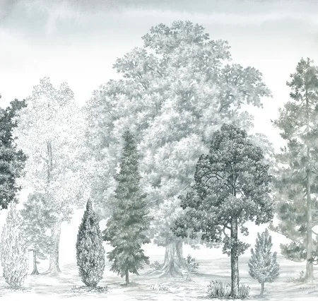 Обои Loymina Пейзаж vol. 2 ART14 011 в Нижнем Тагиле