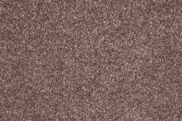 Ковровое покрытие AW Gala 60 - (5м) в Нижнем Тагиле