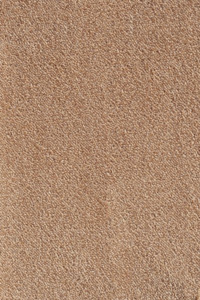 Ковровое покрытие AW Messalina 38 - (5м) в #REGION_NAME_DECLINE_PP#