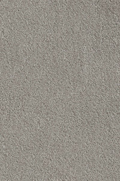 Ковровое покрытие AW Messalina 9 - (4м) в #REGION_NAME_DECLINE_PP#